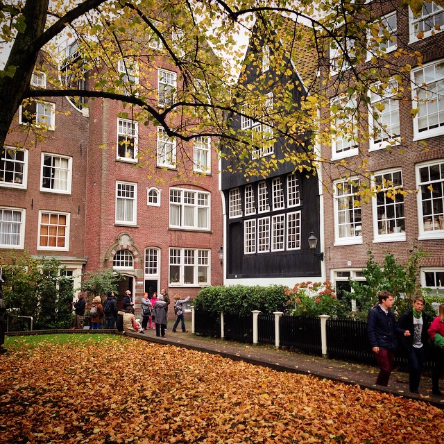 Begijnhof Amsterdam in the Autumn with a carpet of golden leaves