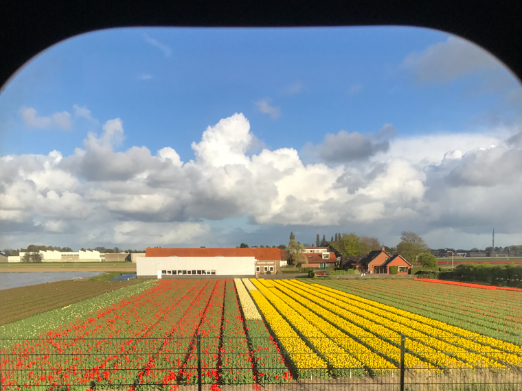 View from the train window in Hillegom